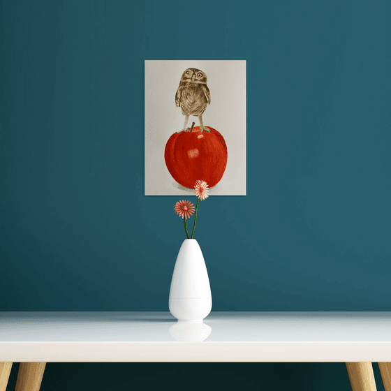 Owl on apple