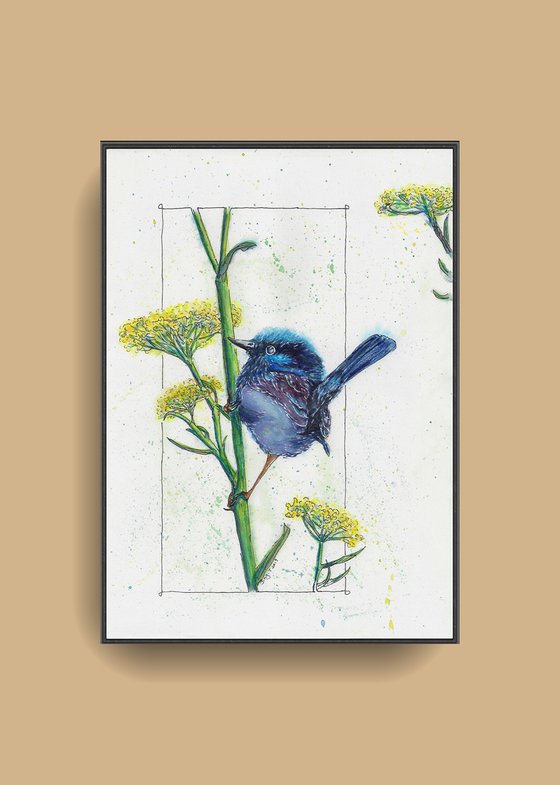 Blue Wren