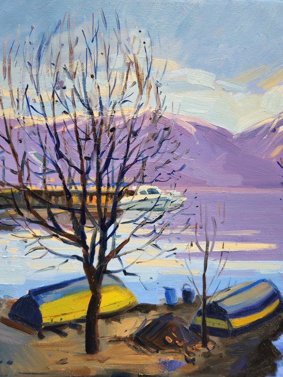 Winter afternoon by the lake