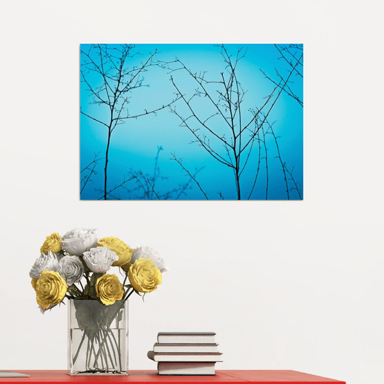 Twilight in the outdoors | Limited Edition Fine Art Print 1 of 10 | 45 x 30 cm
