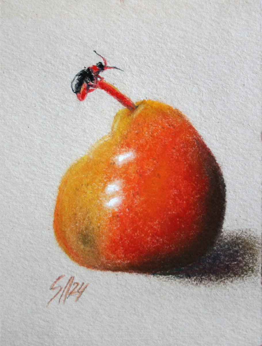 Botanical Pastel Drawing By Salana Art / Svetlana Samovarova, 4 X 6", Pear Iii, Original Artwork