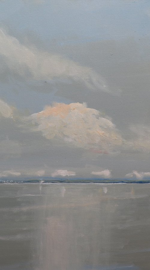 From the Inner Farne by Malcolm Ludvigsen