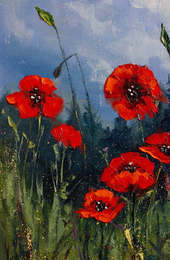 Red flowers , poppies