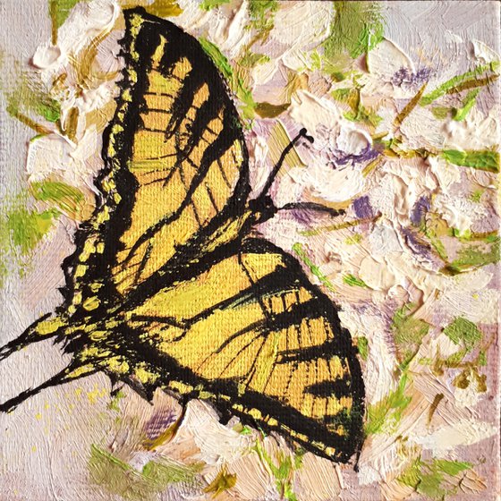 Butterfly... framed / FROM MY A SERIES OF MINI WORKS / ORIGINAL OIL PAINTING