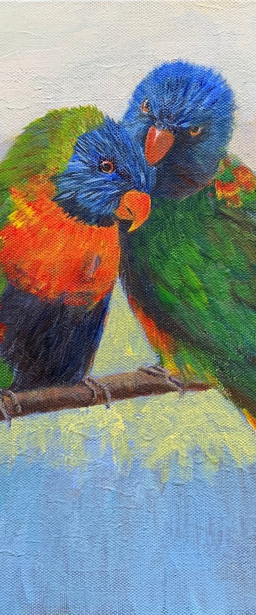 Love birds by Shelly Du
