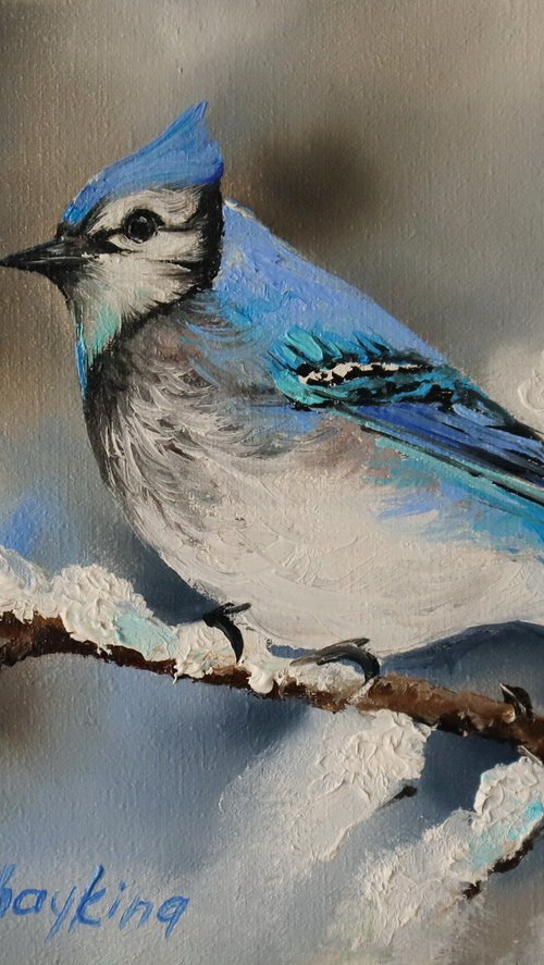 Blue Jay on Snowy Branch by Natalia Shaykina