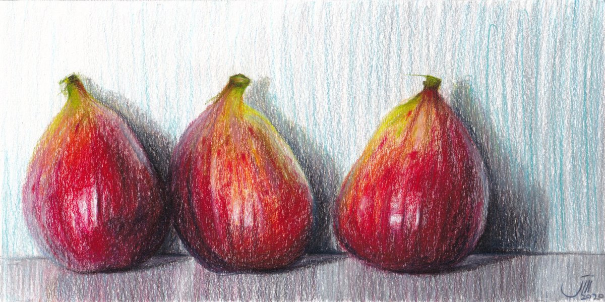 No.179, Figs by sedigheh zoghi