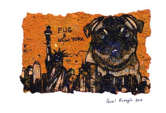 Pug and New York