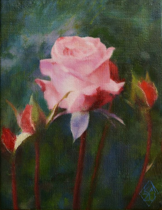 Rose and the Stream of Time