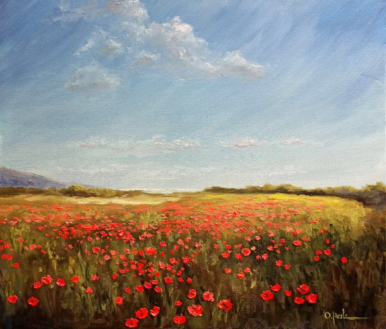 Poppies near the sea