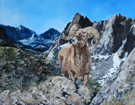 Landscape - Wildlife - "Bighorn of Wind River