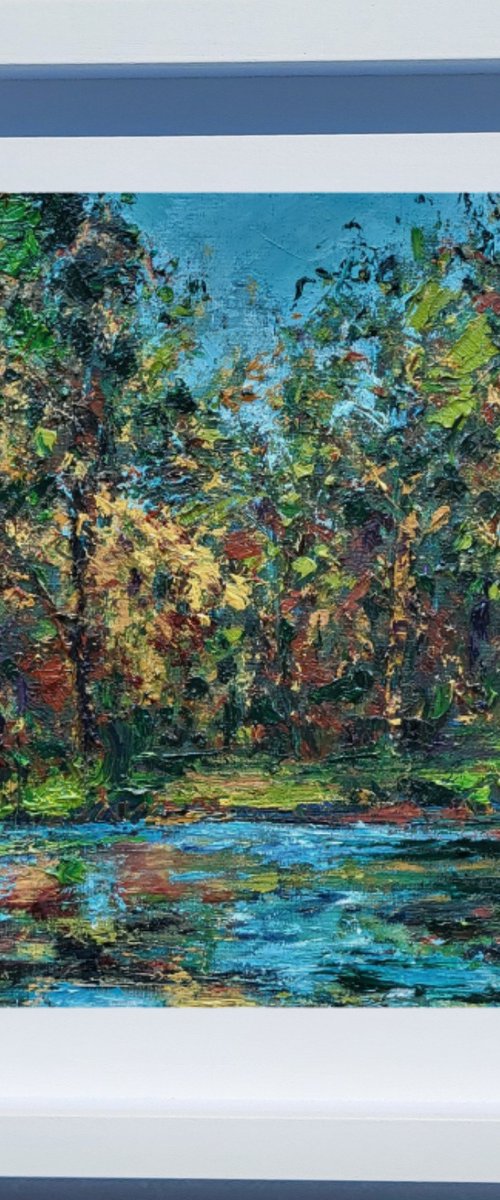 Autumn reflection by Niki Purcell