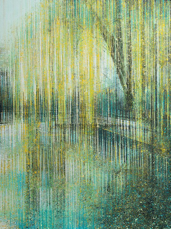 Weeping Willow Tree In Summer Light