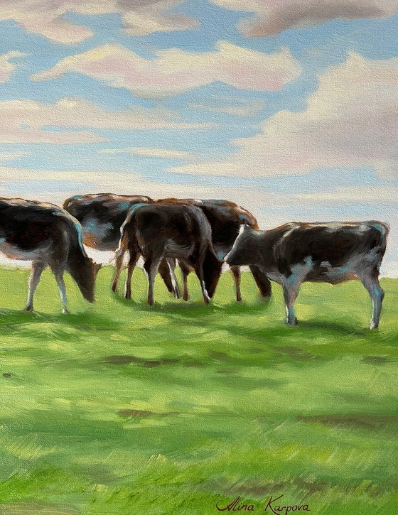 Cows in a field