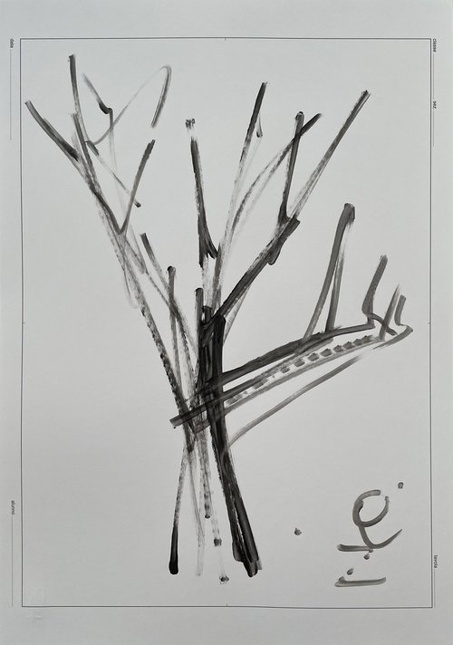 Dry tree by Mattia Paoli