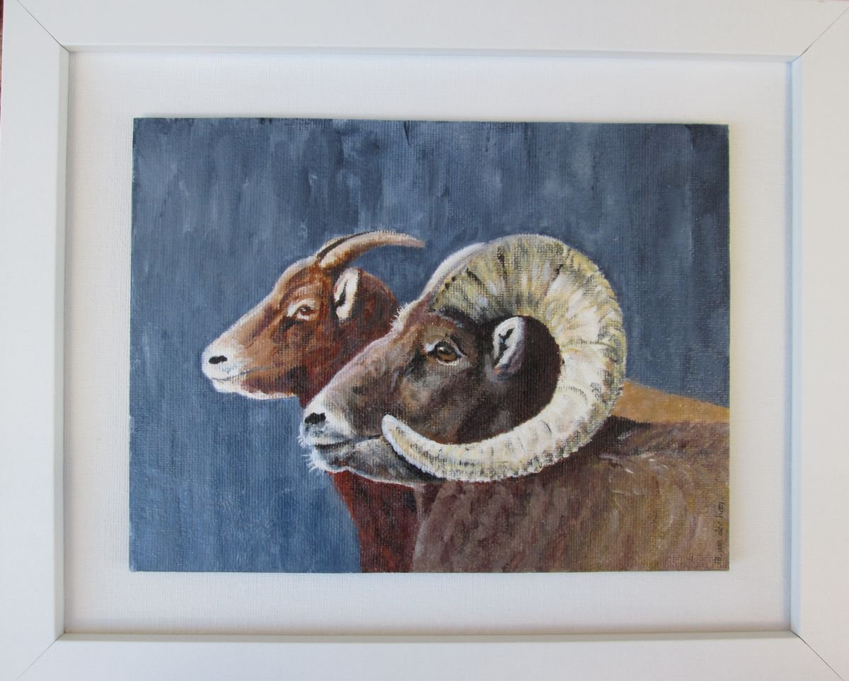 Big Horn Sheep, painting 