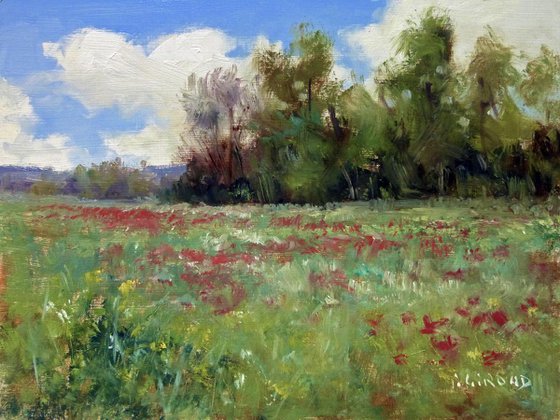 Field in Provence