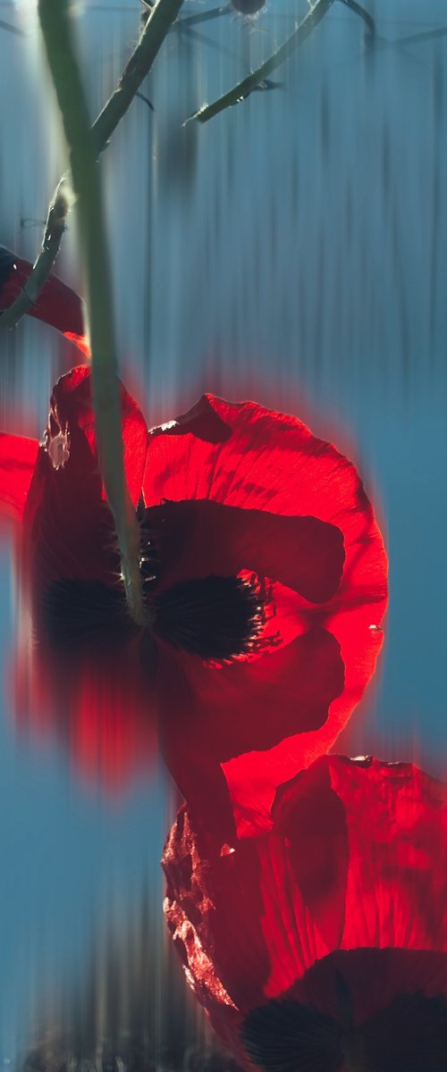 Spring prelude by Nektaria Thalia