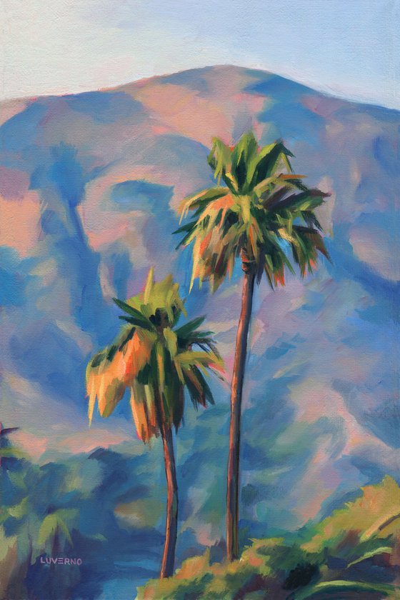 'Palm Springs colors'