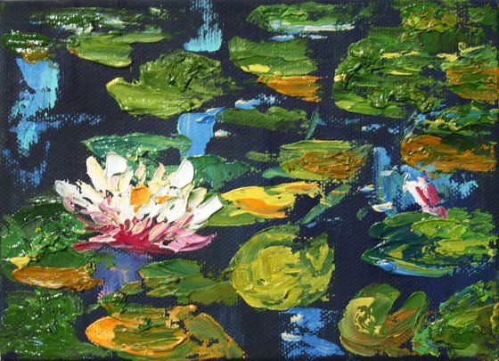 Water lilies  /  famed /  From my a series of mini works LANDSCAPE /  ORIGINAL PAINTING