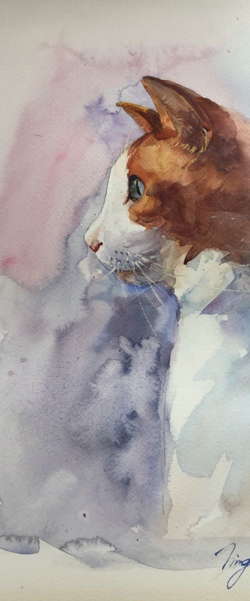 Curiosity by Jing Chen