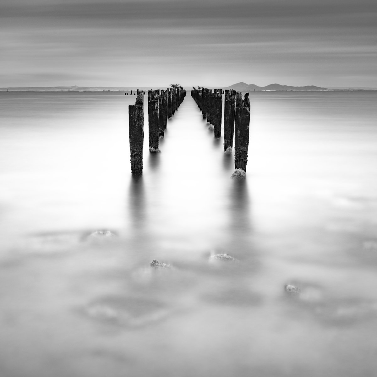 Photorealistic Landscape Photograph By Nick Psomiadis, 35 X 35", Jetee, Original Artwork