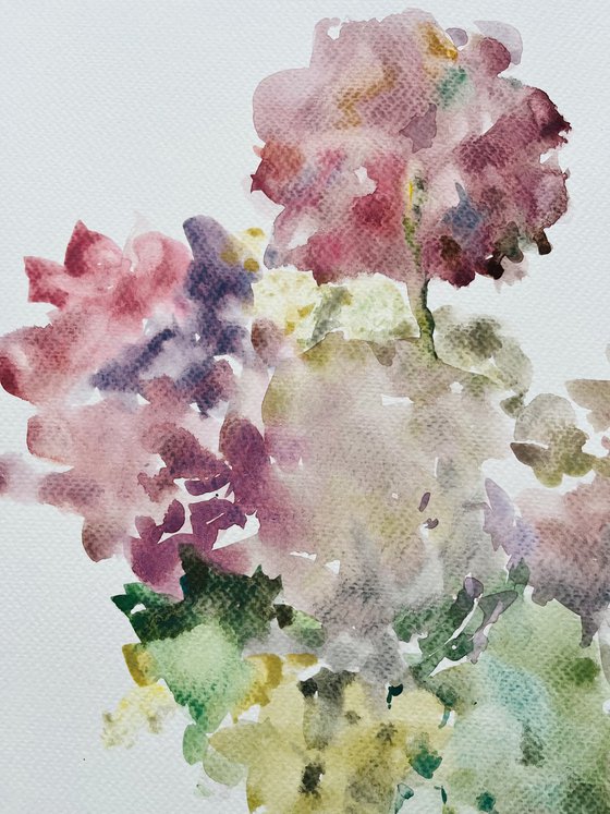 Hydrangea 5 2022