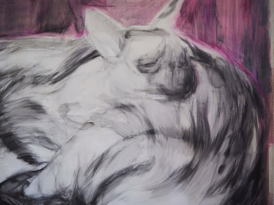 No title II (Hyenas)