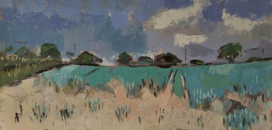 Sandy Field
