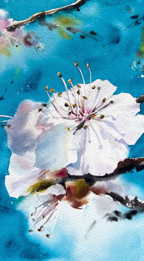 Almond flower #10 by Eugenia Gorbacheva