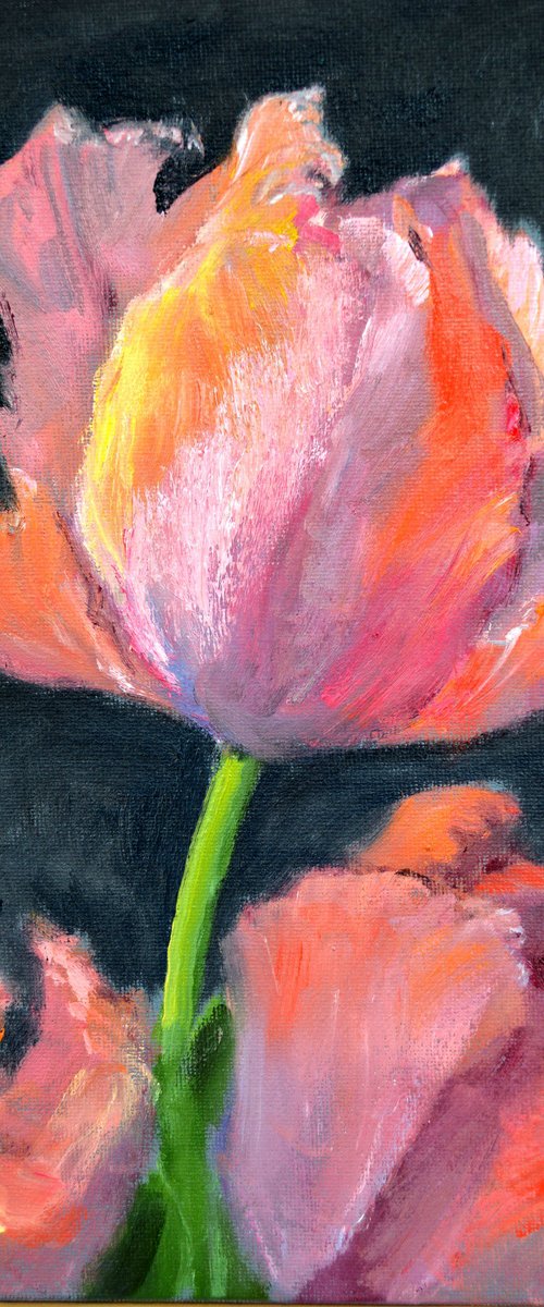Coral tulips 1 by Elena Lukina