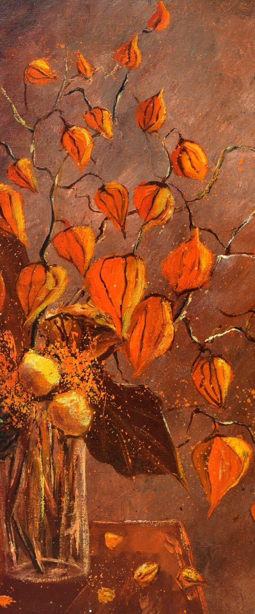 Physialis  -5623 by Pol Henry Ledent