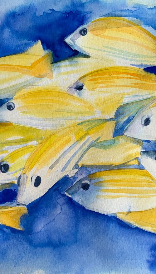 Fish by Olga Pascari