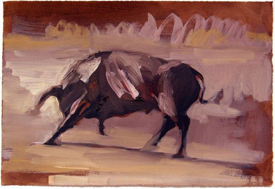 Toro XVI (study)