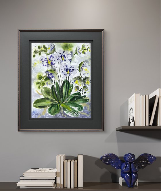 White Orchid in a pot