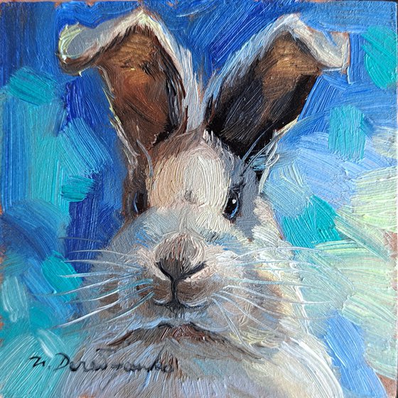 Rabbit portrait