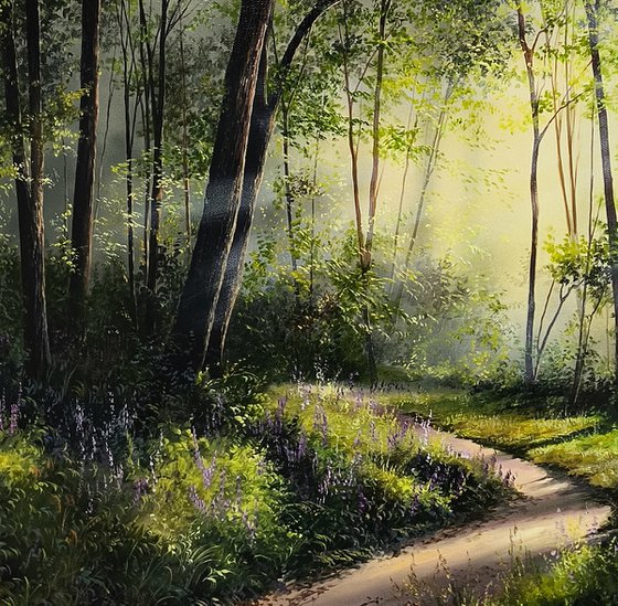 Sun-Kissed Path