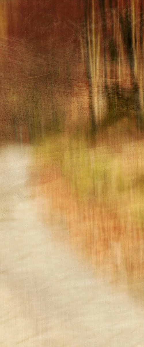 Au bord de la route.... by PHILIPPE BERTHIER