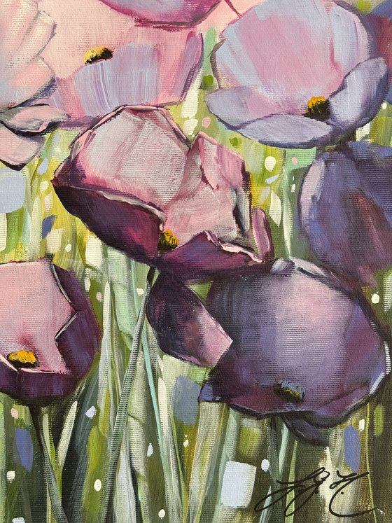 Poppies Land 16