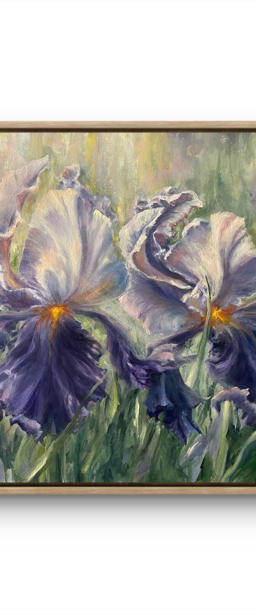 Morning Irises by Alesia Yeremeyeva