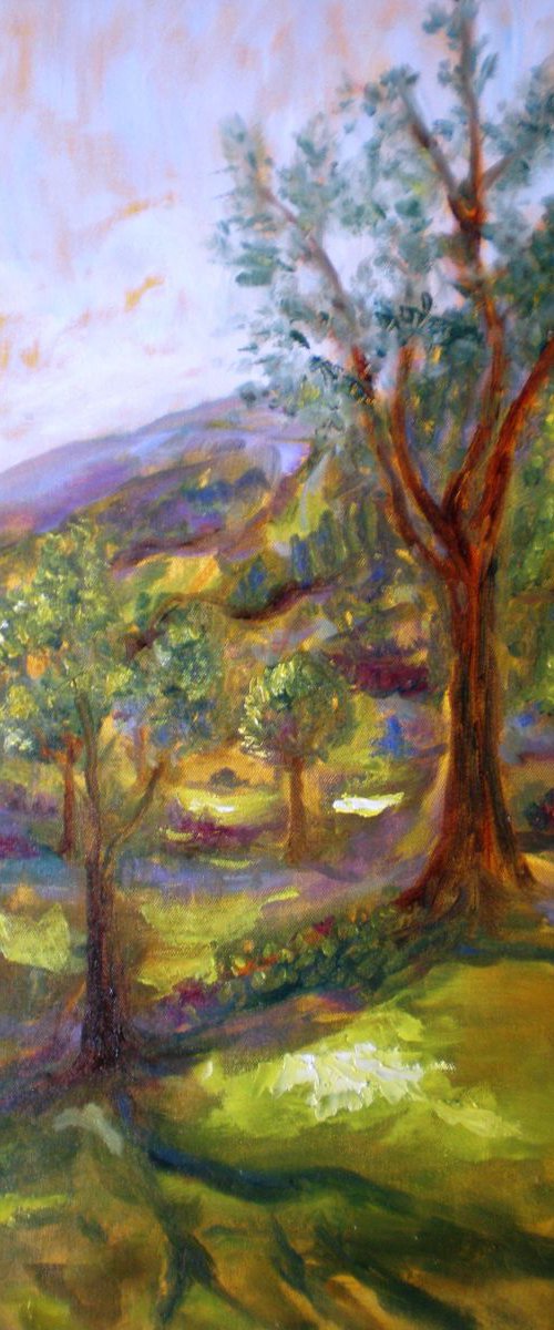 Evening Shadows in the Nilgiris by Deepa Kern