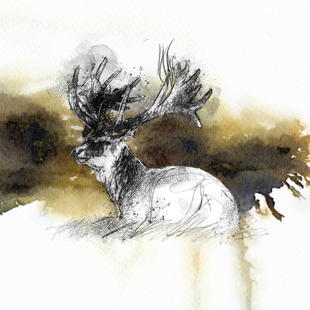 Red deer by Sean Briggs