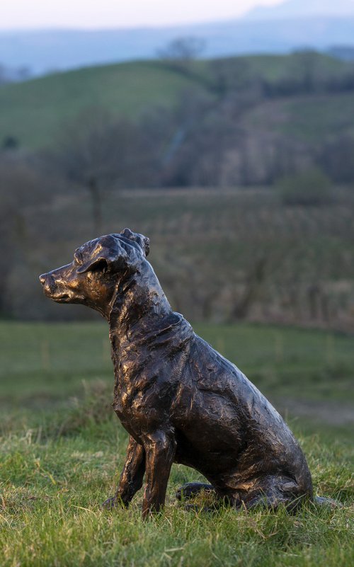 'Missy' Jack Russell sculpture by Tanya Russell