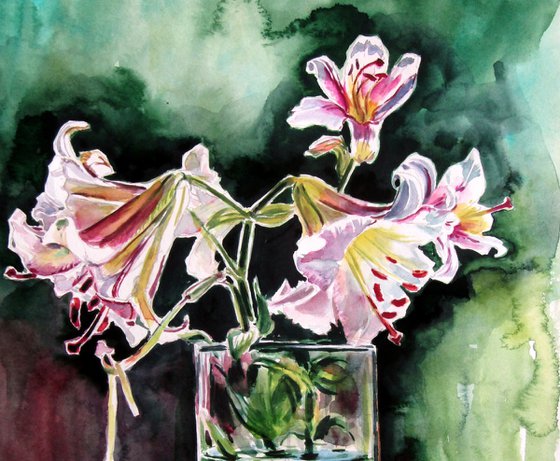 Lily from my garden