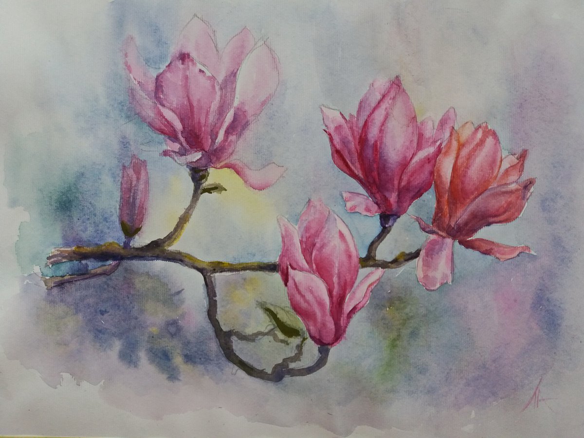 Magnolia branch by Liubov Ponomareva