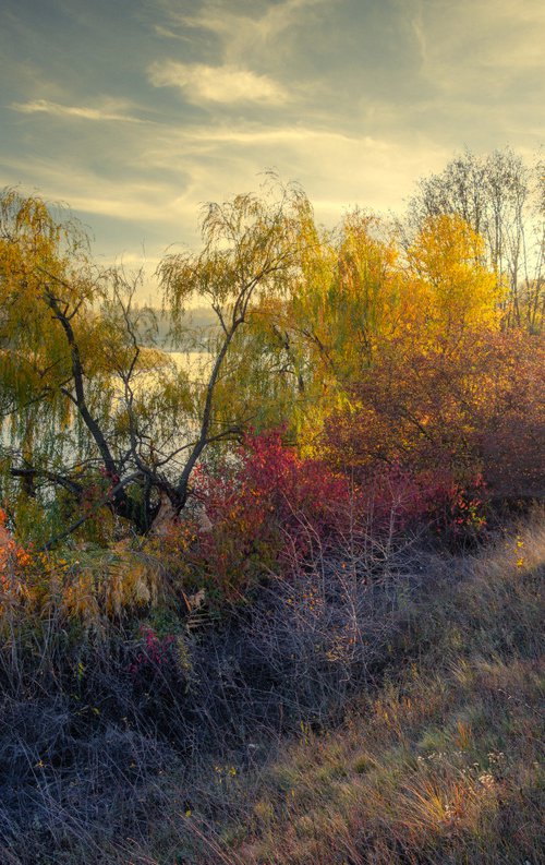 October light by Vlad Durniev