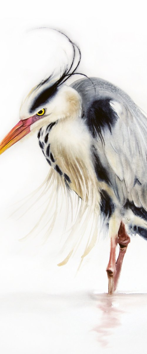 Grey heron  for Heron Preston by Olga Beliaeva Watercolour