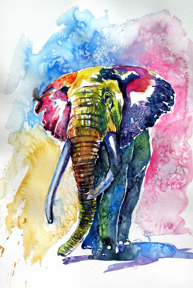 Colorful elephant III /56 x 38 cm/ by Kovcs Anna Brigitta