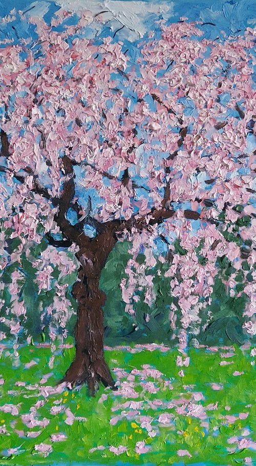 blossom 38 by Colin Ross Jack