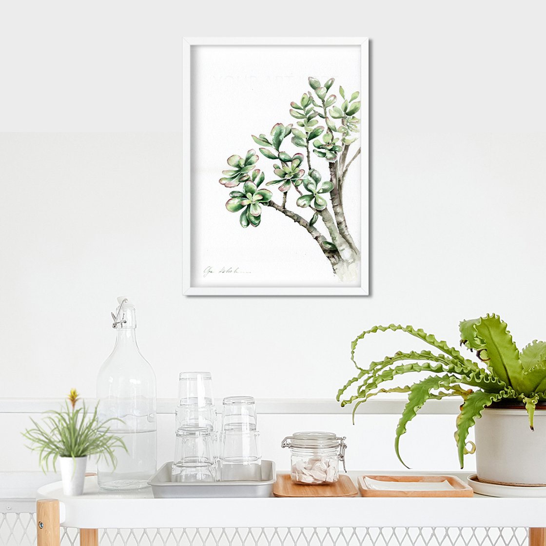 Jade Plant Watercolour By Olga Koelsch Artfinder